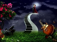 /album/fotogaleria/bella-noche-magica-797370-800-jpeg/